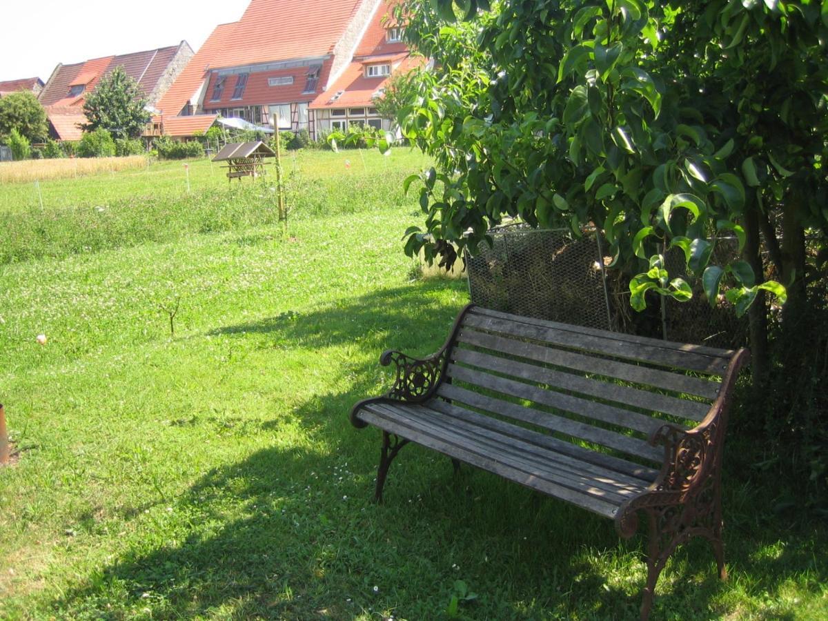 Apartment & Zimmer Familie Trescher Tübingen Eksteriør bilde